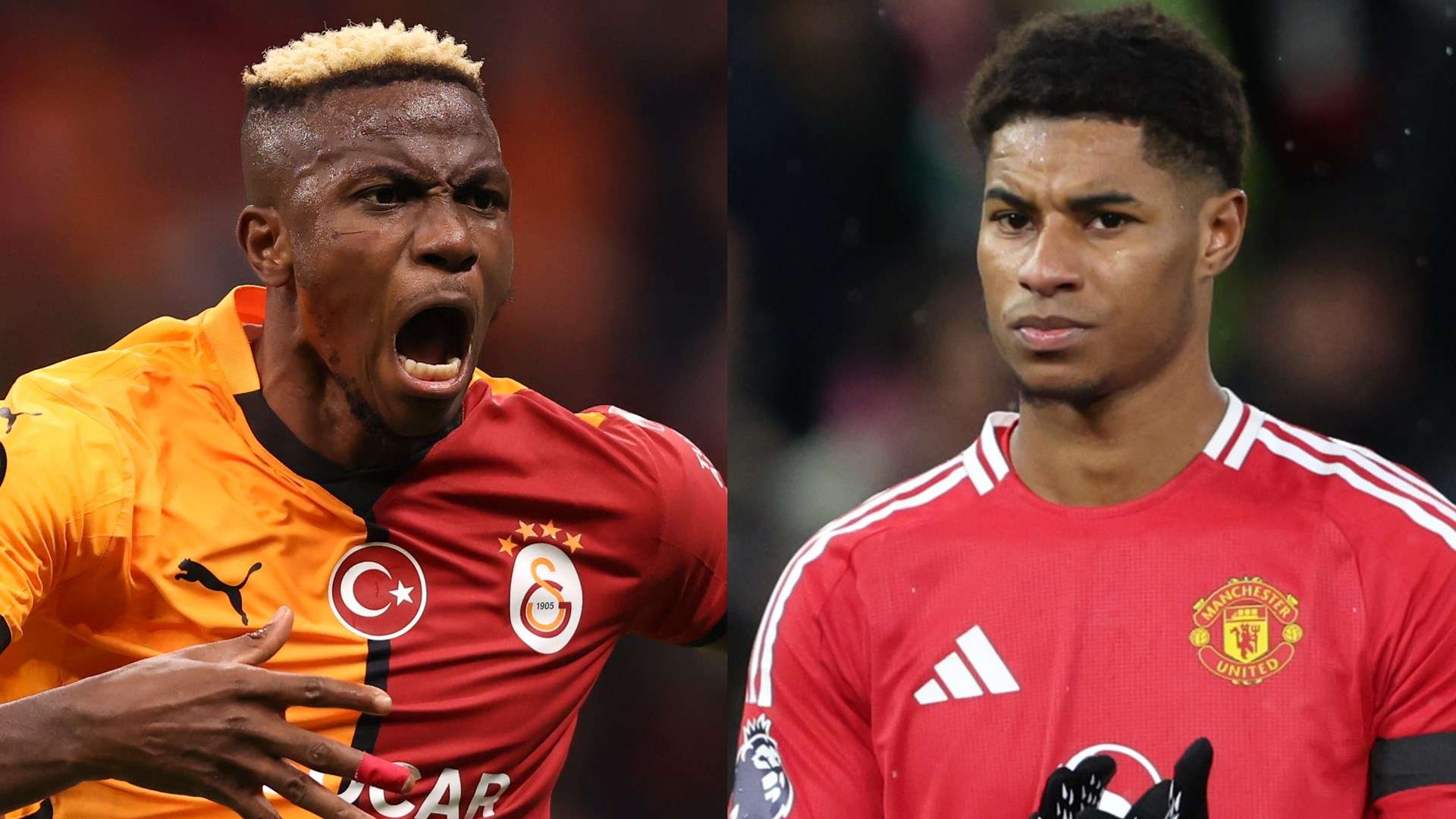 的忠誠與不 的忠誠與不